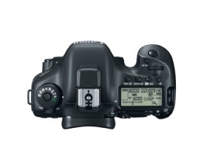 Canon EOS 7d Mark II Top